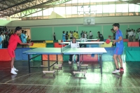 Sports - Table Tennis